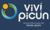 logo-picun